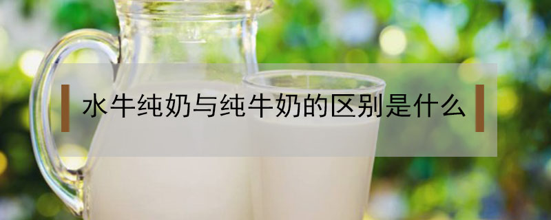 水牛纯奶与纯牛奶的区别是什么(水牛奶纯牛奶有什么区别)