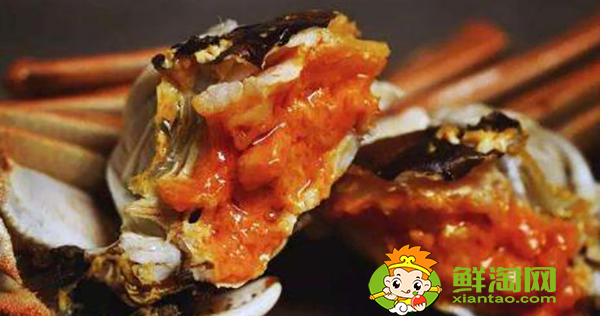 蟹黄是螃蟹的什么器官(蟹黄是螃蟹的哪个器官)