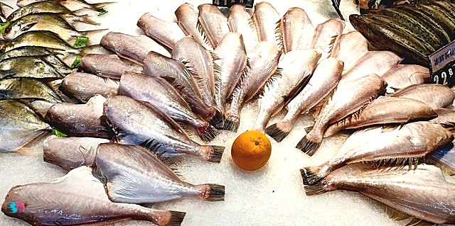太阳鱼有毒为什么还吃(太阳鱼价格多少钱一斤)