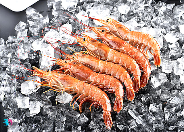 河虾和海虾的区别(河虾和海虾的区别及营养价值)