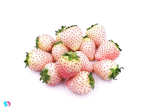 白草莓叫什么品种(白草莓叫什么品种图片)