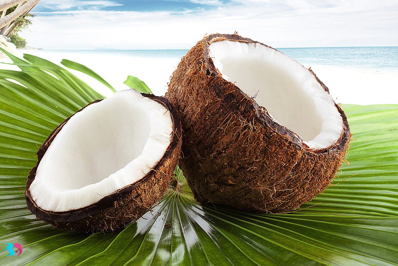 椰子什么季节吃最好(椰子汁的功效与作用)