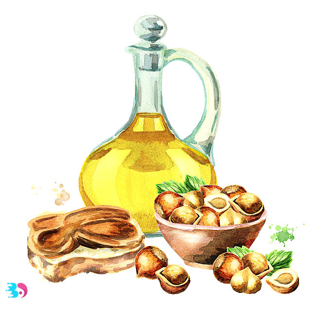 榛子油的功效与作用(榛子油的功效与作用及食用方法黄黛丸的药用价值)