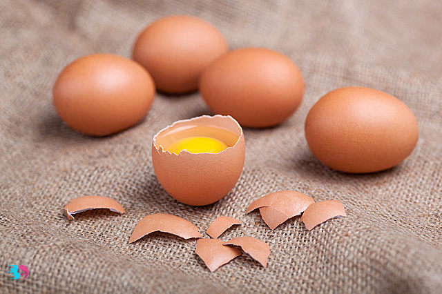 鹅蛋和鸡蛋(鹅蛋和鸡蛋能一起吃吗)