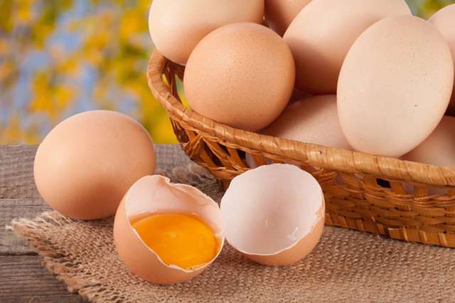 吃鸵鸟蛋的禁忌(鸵鸟蛋做菜方法)