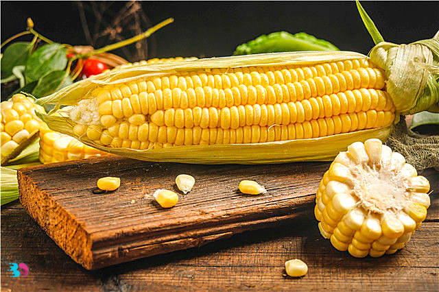 玉米笋和玉米的区别(玉米笋是没长大的玉米吗)