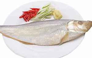 白磷鱼(白鳞鱼的营养价值及功效与作用)