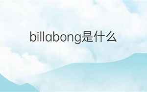billabong(billabong是什么意思)
