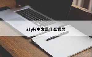 stlye(中文什么意思啊.怎么读)