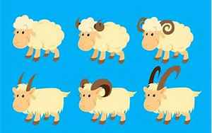 数羊人2019运势(2019年属羊人的运势如何)