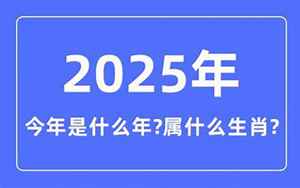 2025年属什么(2025年是什么年)