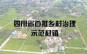 蓬安县(329个村镇获评文明村镇)