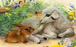 兔跟羊属相合不合(兔和羊适合在一起吗)