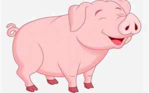 2021猪运势每月(生肖猪的每月运程)