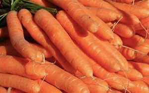 carrots怎么读(carrots是什么读音)