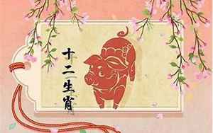 1955属猪女感情运势(1995年属猪女今年姻缘怎么样)