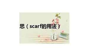 scarfs(scarfs是什么意思)