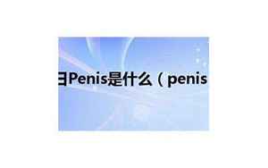 penis是什么意思(m.jingyanben.comteach216846)