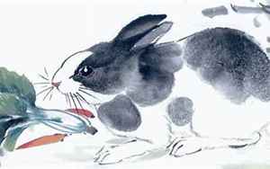兔子传说(生肖兔的故事传说有哪些)