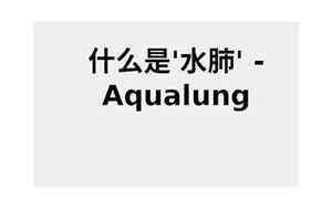 aqualung(aqualung是什么意思)