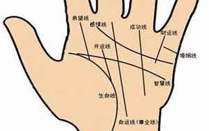 掌心手纹代表什么运势(手掌纹路代表的意义)