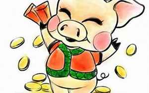 新年猪运势如何(属猪的2021年运势和财运怎么样)