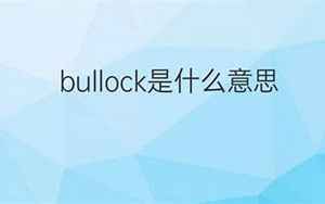 bullock(Bullock是什么意思)