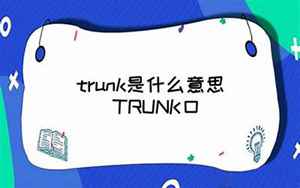 trunk(Trunk是什么意思)