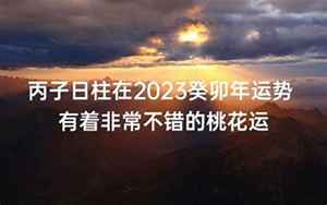 丙子2023年运势(丙子日主2023年运气如何看)