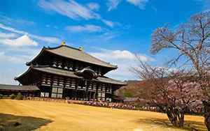奈良东大寺(现存最大木结构建筑)