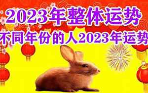 兔女2021整体运势(生肖兔女2021年运势及运程)