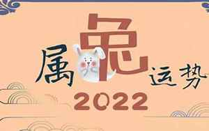 2022年姓刘的运势(刘氏2022属兔运势)
