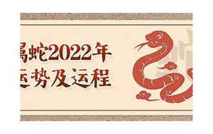 小蛇2022年运势(2022年属蛇人全年运势)