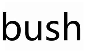 bushi(bushi是什么意思)