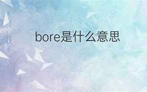 bore是什么意思(bore的中文翻译)