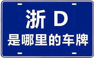浙d(浙D是哪里的车牌号码)