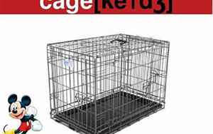cage怎么读音(cage是什么意思)