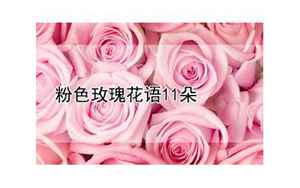 11朵粉色玫瑰花语(11朵粉色玫瑰的花语是什么)