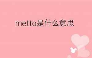 metta(METTA是什么意思)
