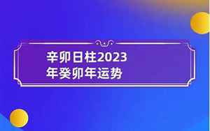 2022年辛卯日运势(辛卯日柱在2022年壬寅年流年运势如何)