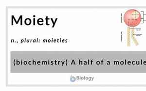 moiety(脓毒症)