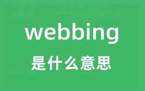 webbing(webbing是什么意思)