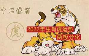 2022每月属虎运势(2022生肖虎各月运势)