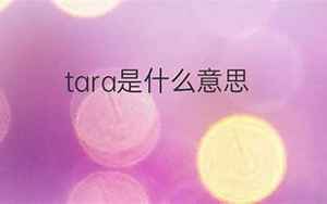 tara(Tara是什么意思)