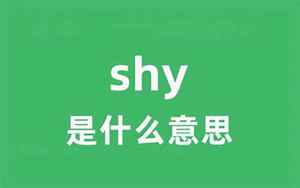 shy翻译(shy是什么意思)