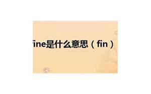 fine什么意思(fine是什么意思及反义词)