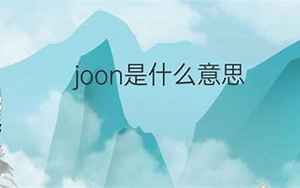 joon(joon是什么意思)