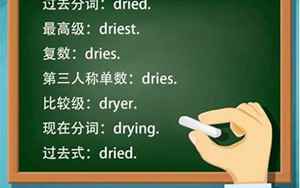 dry中文翻译(dry是什么意思)