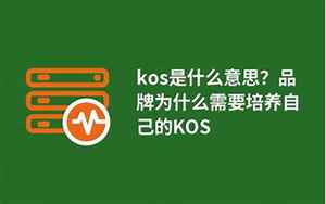 kos是什么意思(KOS的含义和解释)