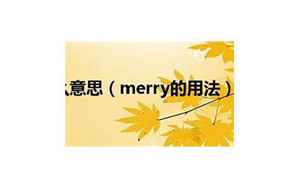 merry是什么意思(Merry是什么意思)